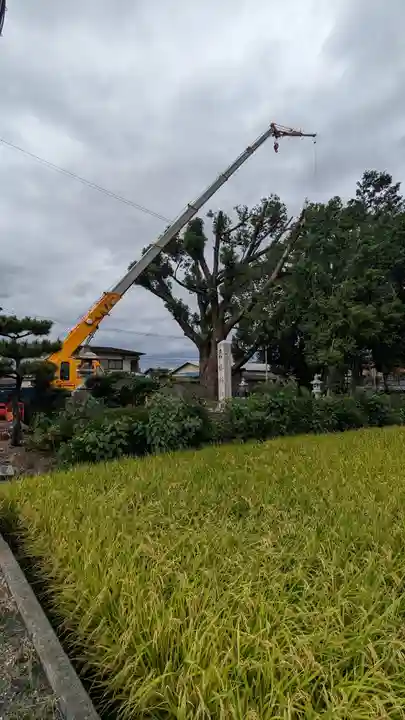 玉田神社(京都府)