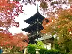 真正極楽寺（真如堂）の建物その他