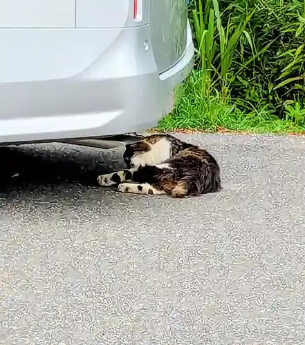 七百餘所神社 の動物