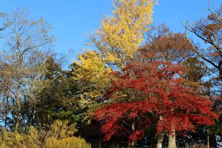八幡神社の庭園