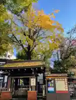 鳥越神社(東京都)