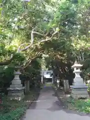 渡海神社の建物その他