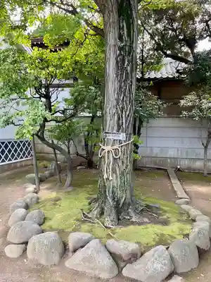 綾瀬稲荷神社(東京都)