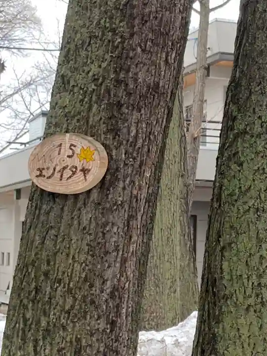 新琴似神社(北海道)