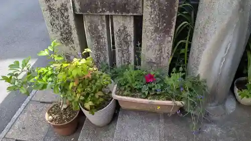 出雲大社長崎分院の庭園