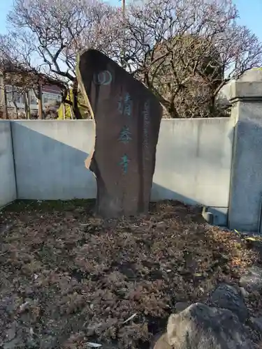 清泰寺の山門