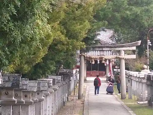佐太神社(佐太天神宮)の{uncategorized: "未分類", other: "その他", undefined: "問題あり", building: "その他建物", grave: "お墓", sacred_gate: "鳥居", guardian: "狛犬", statue: "像", buddha: "仏像", history: "歴史", nature: "自然", garden: "庭園", animal: "動物", pagoda: "塔", temizu: "手水舎", mountain_gate: "山門・神門", sanctuary: "本殿・本堂", subordinate: "末社・摂社", art: "芸術", scenery: "景色", jizo: "地蔵", ema: "絵馬", goshuin: "御朱印", omikuji: "おみくじ", items: "授与品その他", amulet: "お守り", goshuincho: "御朱印帳", eats: "食事", festival: "お祭り", votive_dance: "神楽", shichigosan: "七五三参", wedding: "結婚式", experience: "体験その他", initially: "初詣", around: "周辺", anti_infection: "感染症対策"}