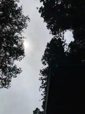 九頭龍神社(東京都)