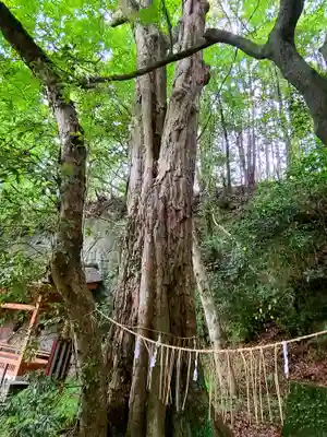 菅尾磨崖仏(大分県)