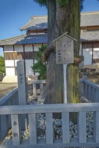 村國神社の自然