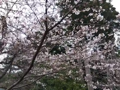 賀茂神社(福井県)