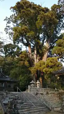祇園寺のその他建物