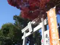 亀ケ池八幡宮の鳥居