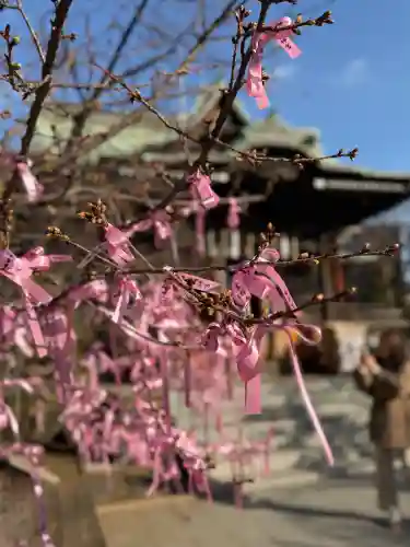 桜神宮の{uncategorized: "未分類", other: "その他", undefined: "問題あり", building: "その他建物", grave: "お墓", sacred_gate: "鳥居", guardian: "狛犬", statue: "像", buddha: "仏像", history: "歴史", nature: "自然", garden: "庭園", animal: "動物", pagoda: "塔", temizu: "手水舎", mountain_gate: "山門・神門", sanctuary: "本殿・本堂", subordinate: "末社・摂社", art: "芸術", scenery: "景色", jizo: "地蔵", ema: "絵馬", goshuin: "御朱印", omikuji: "おみくじ", items: "授与品その他", amulet: "お守り", goshuincho: "御朱印帳", eats: "食事", festival: "お祭り", votive_dance: "神楽", shichigosan: "七五三参", wedding: "結婚式", experience: "体験その他", initially: "初詣", around: "周辺", anti_infection: "感染症対策"}