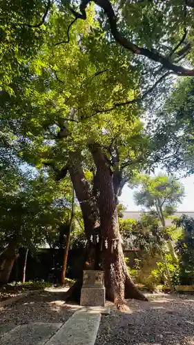 高龗神社・脇浜戎大社(大阪府)