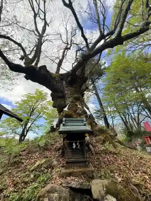 熊野皇大神社の{uncategorized: "未分類", other: "その他", undefined: "問題あり", building: "その他建物", grave: "お墓", sacred_gate: "鳥居", guardian: "狛犬", statue: "像", buddha: "仏像", history: "歴史", nature: "自然", garden: "庭園", animal: "動物", pagoda: "塔", temizu: "手水舎", mountain_gate: "山門・神門", sanctuary: "本殿・本堂", subordinate: "末社・摂社", art: "芸術", scenery: "景色", jizo: "地蔵", ema: "絵馬", goshuin: "御朱印", omikuji: "おみくじ", items: "授与品その他", amulet: "お守り", goshuincho: "御朱印帳", eats: "食事", festival: "お祭り", votive_dance: "神楽", shichigosan: "七五三参", wedding: "結婚式", experience: "体験その他", initially: "初詣", around: "周辺", anti_infection: "感染症対策"}