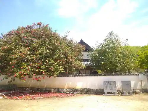 圀勝寺のその他建物