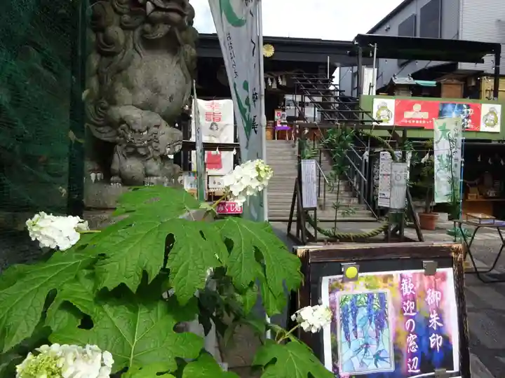 菊名神社の自然