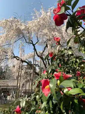 足羽神社(福井県)