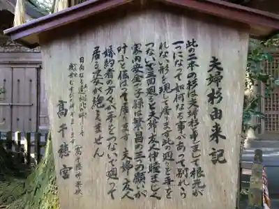 高千穂神社(宮崎県)