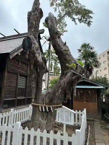 結城神明神社(千葉県)