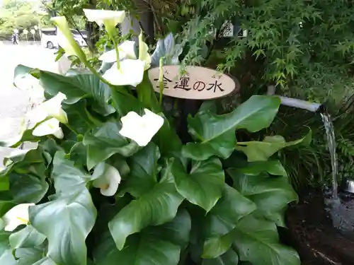 阿蘇神社の周辺