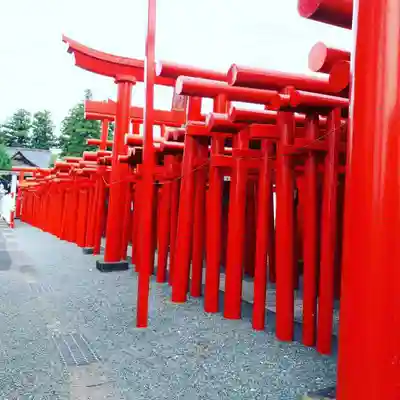 小泉稲荷神社の鳥居