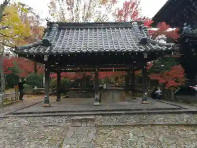 真正極楽寺(真如堂)の手水舎