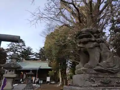 三春大神宮(福島県)
