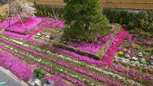 寿量山　速成寺の庭園