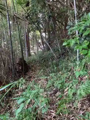 三峯神社(千葉県)