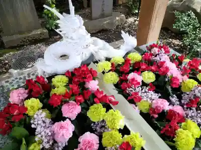 田無神社(東京都)