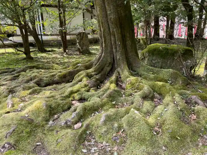 醍醐寺(京都府)