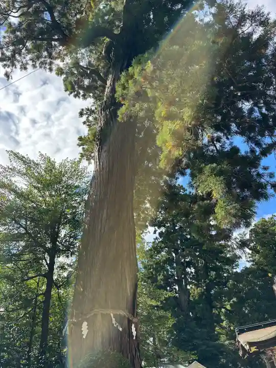 香取神宮(千葉県)