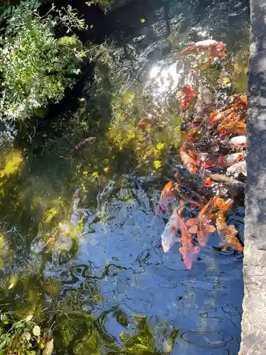 西方寺(宮城県)