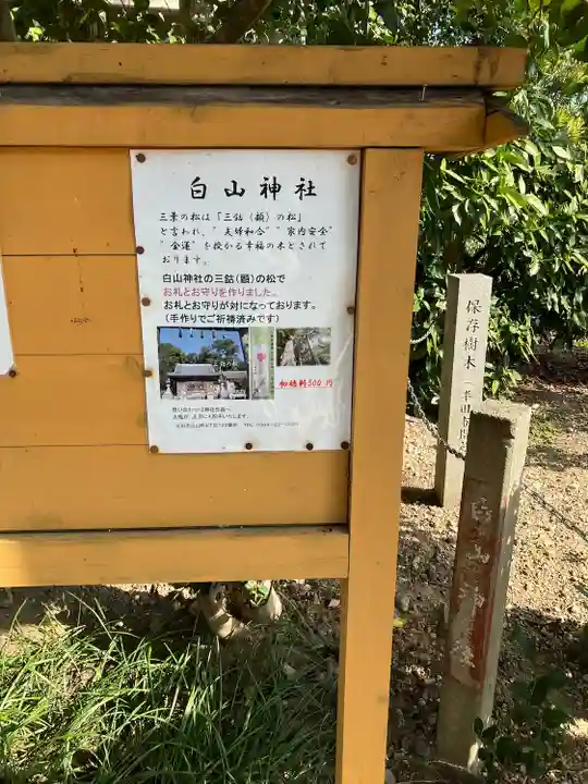 白山社(成岩白山神社)(愛知県)
