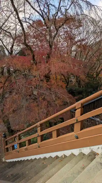 松ヶ崎大黒天 妙圓寺(妙円寺)(京都府)