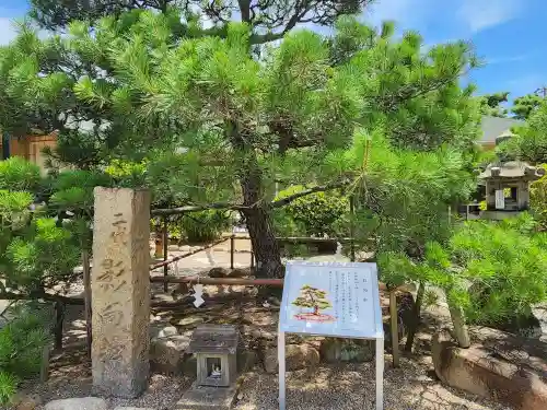 和田神社の自然