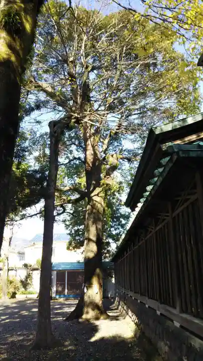 青木神社の自然