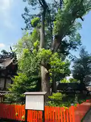 片埜神社の自然