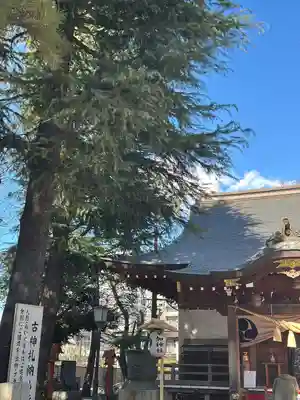 草加神社(埼玉県)