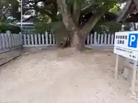 東八幡社のその他建物