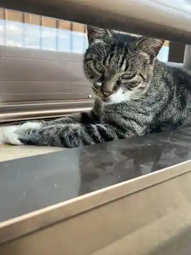 唐澤山神社(栃木県)