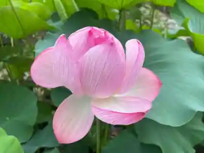 當麻寺 西南院(奈良県)