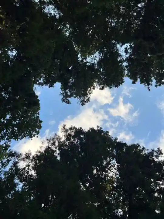 大宮温泉神社の自然