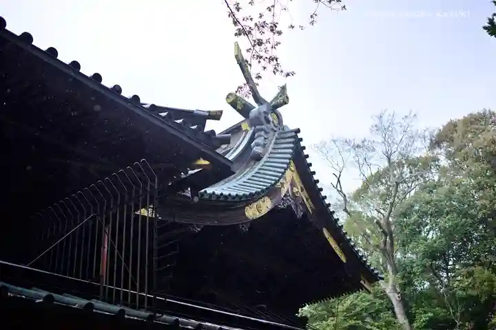 三嶋大社の本殿・本堂