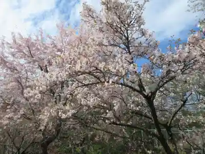 不動寺(埼玉県)