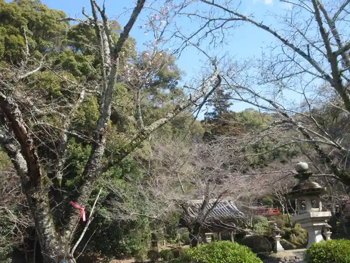 根来寺(和歌山県)