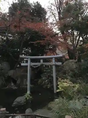愛宕神社の鳥居