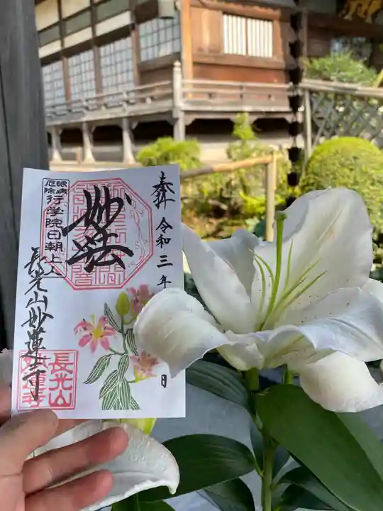 妙蓮寺の御朱印